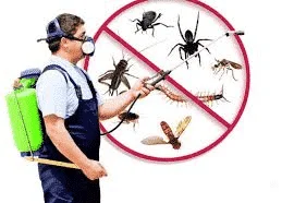 Facility Management pest control