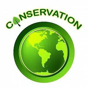 eco-friendly facility management